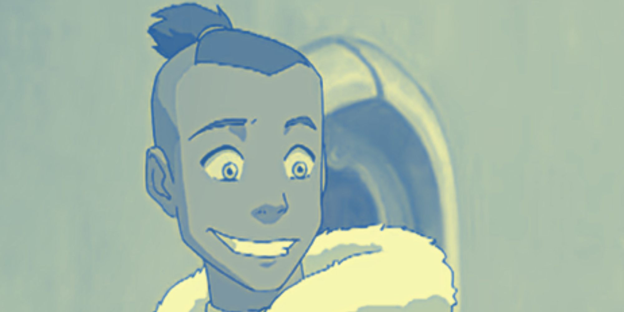 Sokka Hair